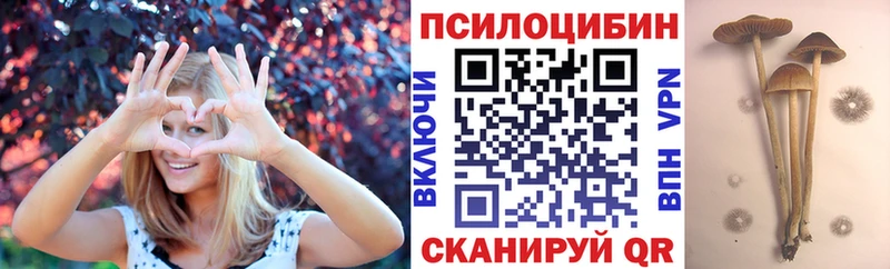 blacksprut ссылки  Челябинск  Псилоцибиновые грибы прущие грибы 