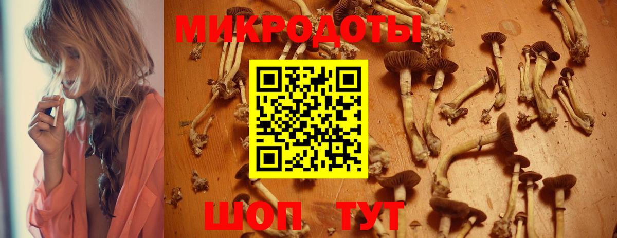 Челябинск  Псилоцибиновые грибы Psilocybe  Вход с VPN 
